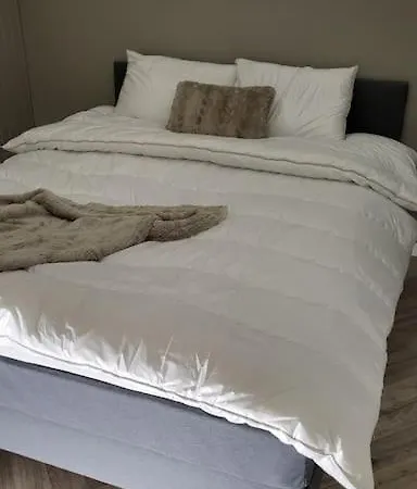 Skogro Ved Norefjell