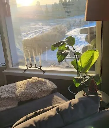 Skogro Ved Norefjell *